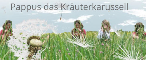 pappus.eu webdesign mitschwarzenberger - Pappus das Kräuterkarussell